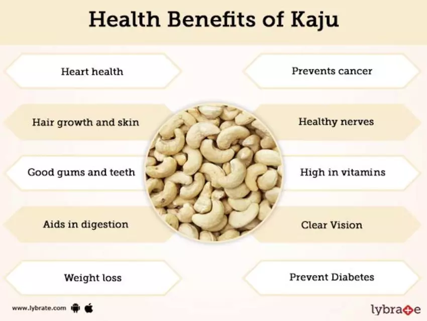 Health-Benefits-of-Kaju