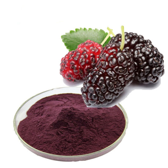 Mulberry-Fruit-