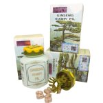 kianpi ginseng pill for weight gain muscles and strength