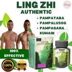 Ling Zhi Chuang Yao Wan For Weight Gainer Capsule