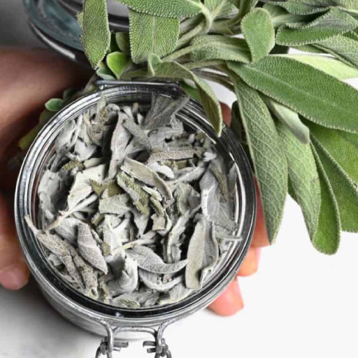 Premium Organic Sage Leaves Premium Organic Sage Leaves