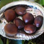 Natural Herbal Vitality Seeds
