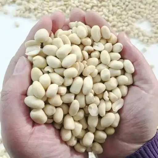 Natural Peanut Kernels Natural Peanut Kernels